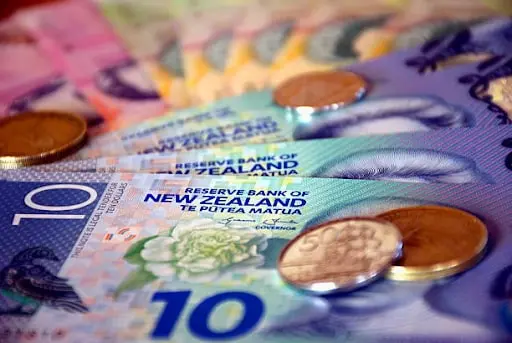 Navigating the World of Business Loans in New Zealand: What You Need to Know